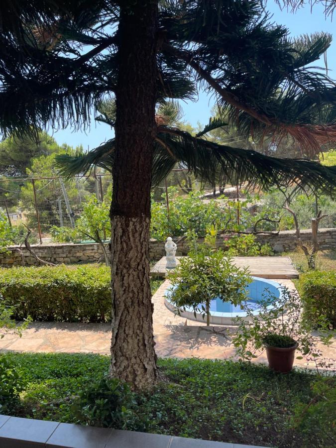 Elias Guest House Sarande Ngoại thất bức ảnh